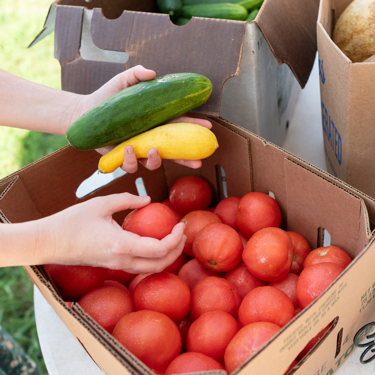 Food Pantry Hattiesburg MS Your Guide to Food Assistance and Support Food Pantry Hattiesburg MS Your Guide to Food Assistance and Support